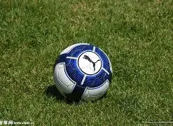 冬日转会风,云再起,揭秘塞门未,华体会体育,HuaTiHui,Sports,华体会体育注册网址,华体会体育app,华体会体育官网,华体会体育网站,华体会体育下载