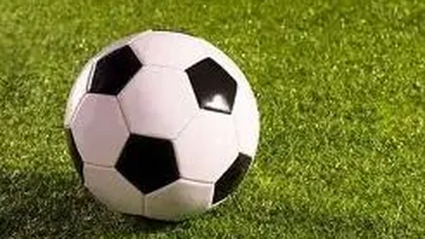 34岁张稀哲有望回归国足阵容？邵佳一教练亲证，球迷反响热烈，惊喜连连！